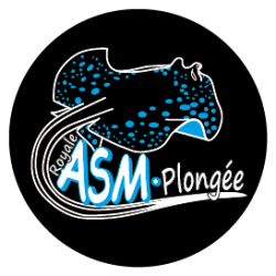Royale ASM PLONGEE